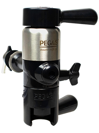 PEGAS Evolution